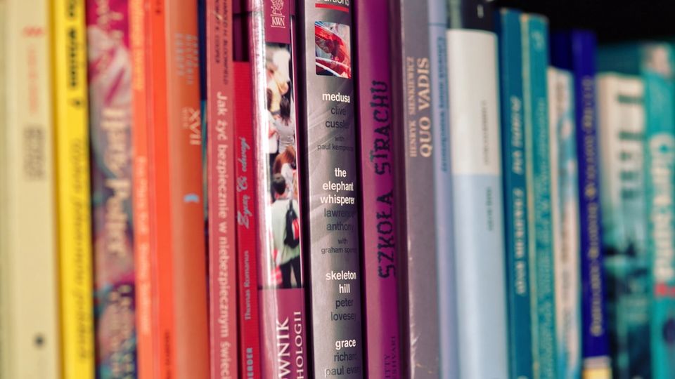 Rafta yan yana dizilmiş renkli kitap sırtları